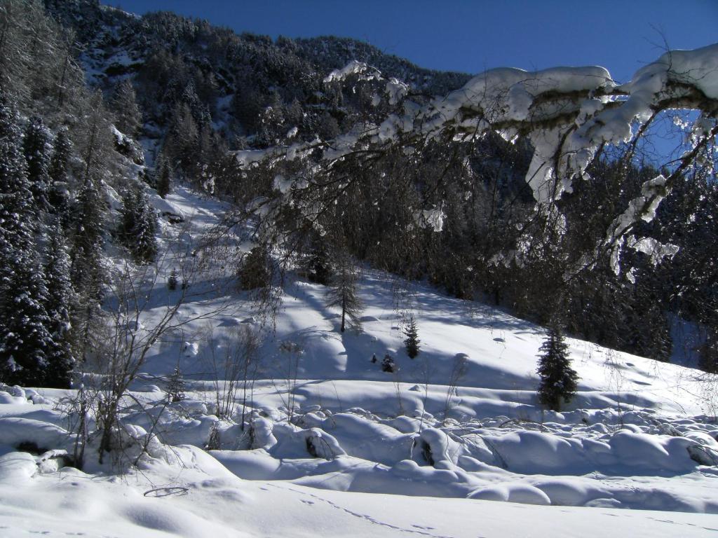 Albergo Thurwieser Santa Caterina Valfurva Exteriör bild
